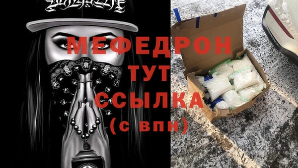 спиды Ельня