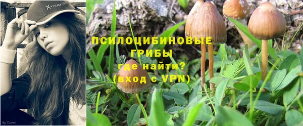 кристаллы Елабуга