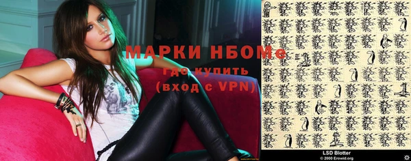 спиды Ельня