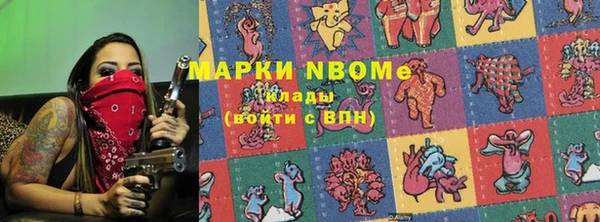 спиды Ельня