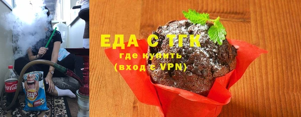 спиды Ельня