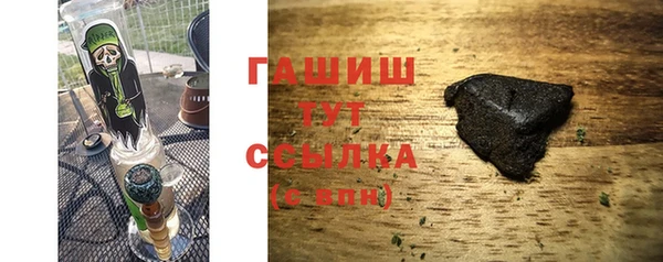 спиды Ельня