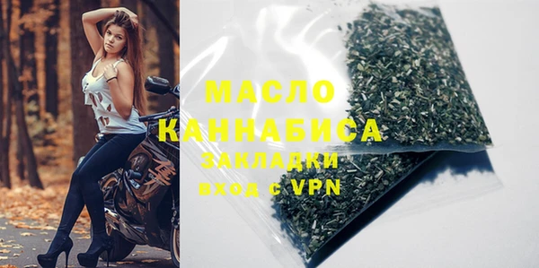 спиды Ельня