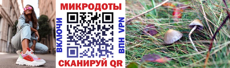 где купить наркоту  Задонск  Псилоцибиновые грибы Magic Shrooms 